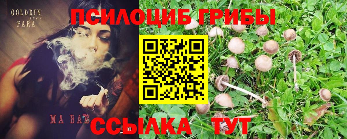 Псилоцибиновые грибы MAGIC MUSHROOMS Благовещенск