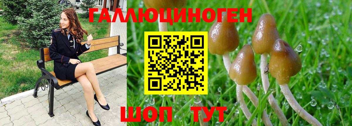 Галлюциногенные грибы MAGIC MUSHROOMS  Галлюциногенные грибы прущие грибы  Благовещенск  Вход с VPN 